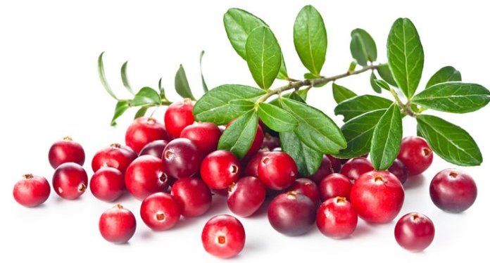 Danh sách Top Việt Nam